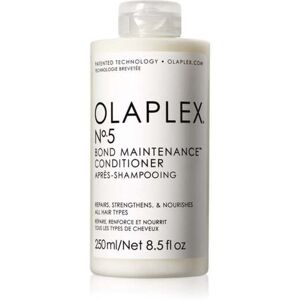 Balm Olaplex No. 5 Bond maintenance 250ml