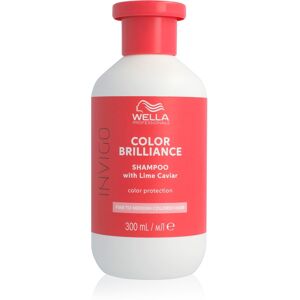Wella Invigo Color Shampoo for colored hair, 300 ml