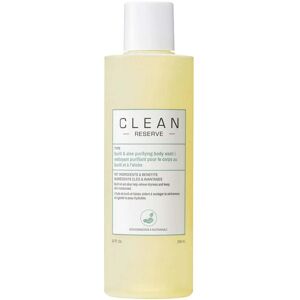 Clean Reserve Buriti & Aloe Purifying Body Wash 296 ml