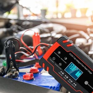 DailySale Smart Automatic Battery Charger with LCD Display