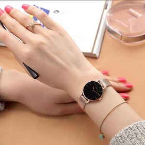 DailySale Hannah Martin High Quality Waterproof Ladies Watch