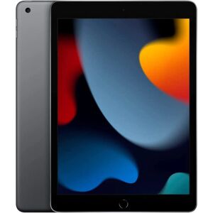 DailySale Apple iPad 9th Gen 2021 10.2-Inch Wi-Fi (Refurbished)