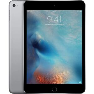 DailySale Apple iPad Mini 4 128GB Wifi Space Gray (Refurbished)