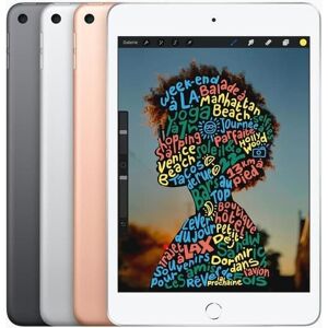 DailySale Apple iPad Mini 5th Gen (2019) WiFi (Refurbished)