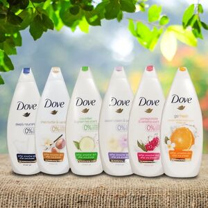 DailySale 6-Pack Dove Body Wash Shower Gel