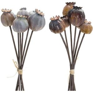 Poppy Pod Foliage Bundle (Set Of 6) by Melrose in Blue