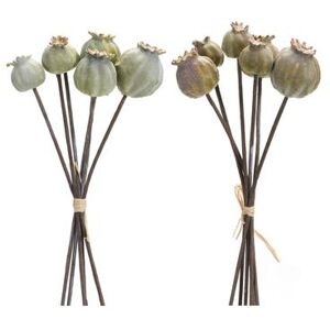 Poppy Pod Foliage Bundle (Set Of 6) by Melrose in Green