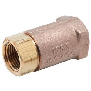 "T&S B-CVH1-2 Horizontal Check Valve w/ 1/2"" NPT Female Connection"