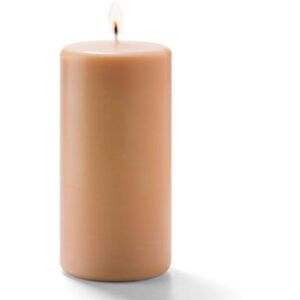 "Hollowick P3X6CP-12 Select Wax Pillar Candle - 3"" x 6"", Wax, Cappuccino"