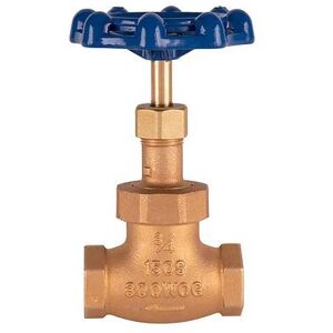 "T&S 006648-20B 3/4"" Globe Valve, Blue Handle"