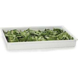 "Bugambilia CIH1F-WW 2 1/2""D Full Size Food Pan - Resin Coated Aluminum, White"