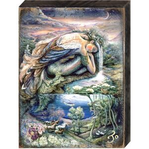 Designocracy Mer Angel Wall Wooden Decor by Josephine Wall - Multi