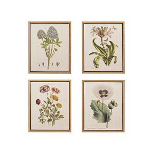 Martha Stewart Collection Martha Stewart Herbal Botany Set Framed Linen Canvas 4-Pc Set - Green