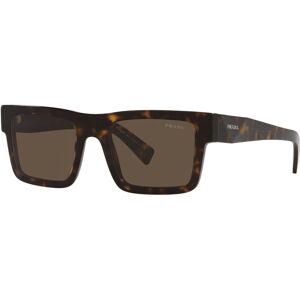 Prada Men's Sunglasses, Pr 19WS - TORTOISE/DARK BROWN