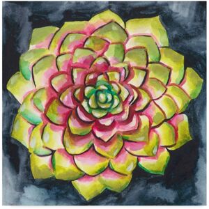 Trademark Global Chariklia Zarris Succulent Rosette Iii Canvas Art - 20