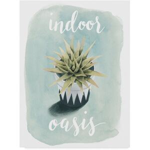 Trademark Global Grace Popp Life is Succulent Iii Canvas Art - 20