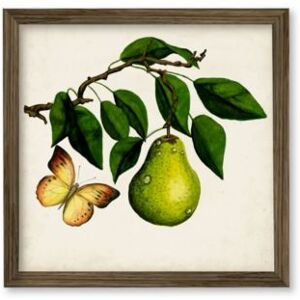 Courtside Market Fruit With Butterflies I Framed Canvas Wall Art Collection