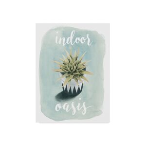 Trademark Global Grace Popp Life is Succulent Iii Canvas Art - 20