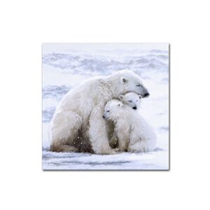 Trademark Global The Macneil Studio 'Polar Bear Cubs' Canvas Art - 35