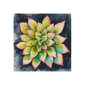 Trademark Global Chariklia Zarris Succulent Rosette Iv Canvas Art - 27