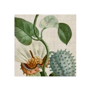 Trademark Global Vision Studio Cropped Turpin Tropicals Ii Canvas Art - 27