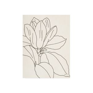 Trademark Global Moira Hershey Magnolia Line Drawing V2 Crop Canvas Art - 36.5