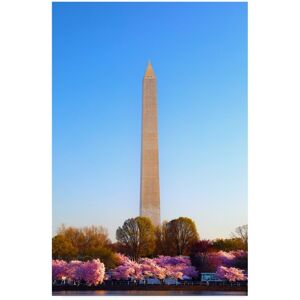 Trademark Global Mitch Catanzaro Washington Monument Under Light Canvas Art - 36.5