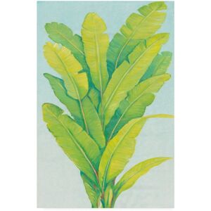 Trademark Global Tim OToole Chartreuse Tropical Foliage Ii Canvas Art - 36.5