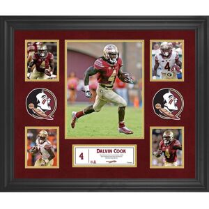 Fanatics Authentic Dalvin Cook Florida State Seminoles Framed 23