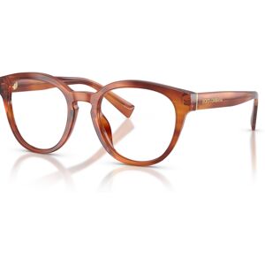 Dolce & Gabbana Men's Phantos Eyeglasses, DG3421 - Striped Ginger