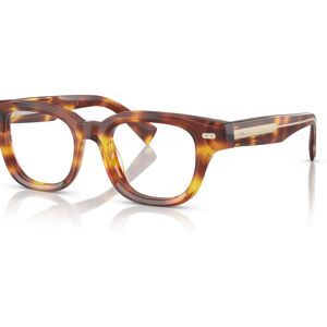 Brunello Cucinelli Unisex Miles Eyeglasses, BC3012 - Havana Mr Brunello