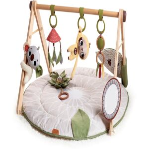 Tiny Love Baby Boho Chic Luxe Developmental Gymini - Multi