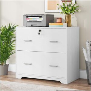 Tribesigns Tribe signs 2-Drawer Lateral File Cabinet, Large White Filing Cabinet with Lock, Office File Cabinets for Hanging Letter/Legal/F4/A4 Size Files - Whit