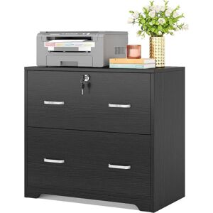 Tribesigns Tribe signs 2-Drawer Lateral File Cabinet, Large White Filing Cabinet with Lock, Office File Cabinets for Hanging Letter/Legal/F4/A4 Size Files - Blac