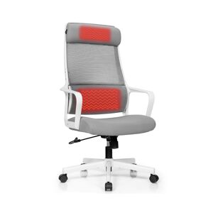 Costway Adjustable Mesh Office Task Chair Heating Lumbar Support - White