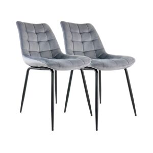 Elama 2 Piece Velvet Tufted Chair in Gray with Black Metal Legs - Gray