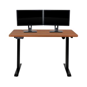 Emma+oliver Electric Height Adjustable Standing Desk - 48