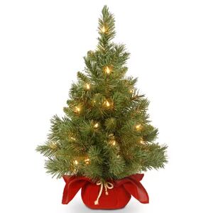 National Tree Company 24-in. Pre-Lit LED Majestic Fir Artificial Christmas Tree, Green