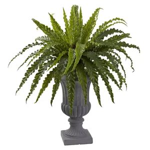 nearly natural 30-in. Bird's Nest Fern Artificial Plant, Green