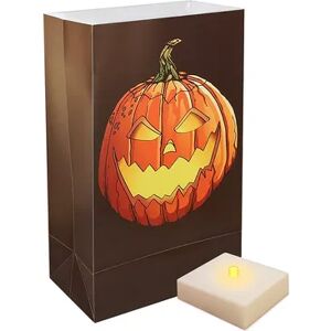 LumaBase 6-pk. Jack-o'-Lantern Timer LumaLite Luminarias, Orange