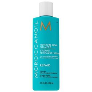 Moroccanoil Moisture Repair Shampoo, Size: 2.4 FL Oz, Multicolor