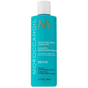 Moroccanoil Moisture Repair Shampoo, Size: 8.5 FL Oz, Multicolor