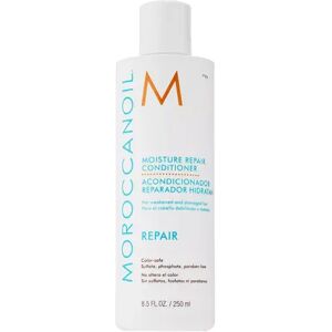 Moroccanoil Moisture Repair Conditioner, Size: 2.4 FL Oz, Multicolor