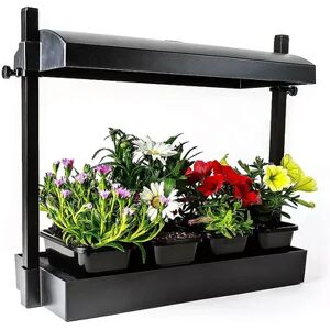 SunBlaster 1600218 T5HO Grow Light Garden Micro w/ 1 Strip Light & T5 Reflector, Black