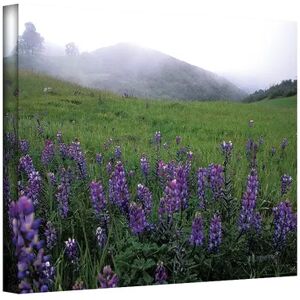 ArtWall 16'' x 24'' ''Figueroa Mountain with Fog'' Canvas Wall Art by Kathy Yates, Multicolor, Medium