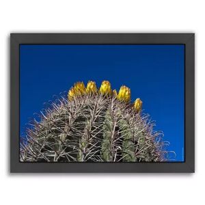 Americanflat ''Barrel Cactus'' Framed Wall Art, Multicolor, Medium