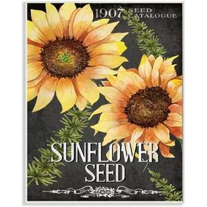 Stupell Home Decor Floral Sunflower Seed Vintage Catalog Design Wall Art, Multicolor, 13X19