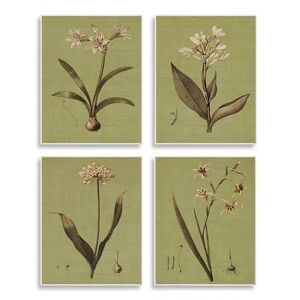 Stupell Home Decor Botanical Plant Plaque Wall Art 4-piece Set, Green, 10X15