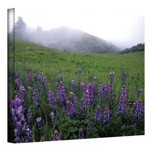 ArtWall 12'' x 18'' ''Figueroa Mountain with Fog'' Canvas Wall Art by Kathy Yates, Multicolor, Small