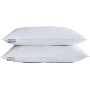 Kathy Ireland Brrr Pro 2-Pack Lyocell Cooling Pillow Set, White, JUMBO